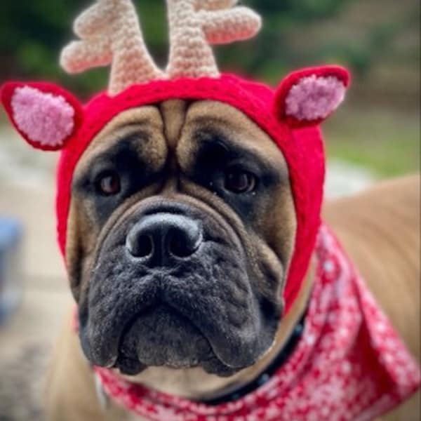 Cappello per cani grandi - Snood di renne per cani di Natale - cappelli per cani - costumi per animali domestici - Cappelli per cani grandi - Abbigliamento per animali domestici-Cappelli per animali - Cappelli - Cappelli per animali domestici