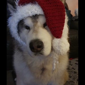 Santa Hats for Doggies - Pet Clothes - Christmas Doggie Hats - Fur Baby - Animal Hats - Doggie Hats - Pet Beanies
