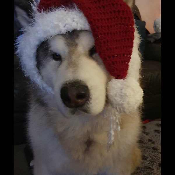 Santa Hats for Doggies - Pet Clothes - Christmas Doggie Hats - Fur Baby - Animal Hats - Doggie Hats - Pet Beanies