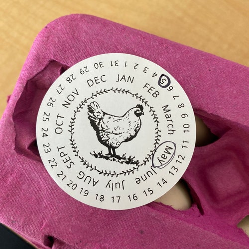 Blue Flattop Dozen Egg Cartons pack of 10 Etsy