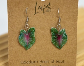 Caladium Heart of Jesus Leaf Earrings