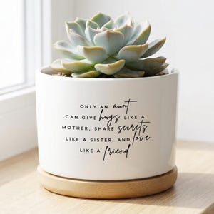 Regalo para tía, mini macetero para suculentas, regalo para tía de sobrina, regalo para tía primeriza, maceta pequeña, para una tía como amiga.