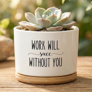 Rolig kollega som lämnar presenten Suckulentplanter, Arbetet kommer att lyckas utan dig, Avskedspresent till arbetsbästa vän, Adjö kollega present