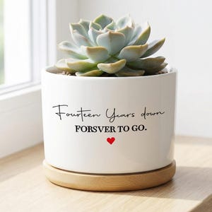 Könnte beinhalten: Ein weißer Keramik-Pflanztopf mit einer Sukkulente. Der Topf trägt den Text "Fourteen Years down, Forever to go" mit einem kleinen roten Herz. Er steht auf einer Holzuntertasse.
