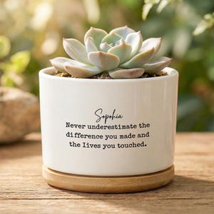 Appreciation Gift Plant Pot, Custom Coworker Gift, Boss Retirement Gift, Never Underestimate the Difference You Made