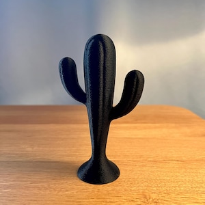 Minimalist Cactus Decor – Modern Desert Home Accent