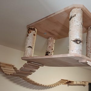 Puede incluir: Un árbol para gatos de madera con una plataforma sostenida por troncos de abedul. Un puente de madera se extiende desde la plataforma. El árbol para gatos está diseñado para montarse en una pared.