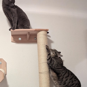Puede incluir: Dos gatos interactuando en un &aacute;rbol para gatos de madera. Un gato gris est&aacute; sentado en una plataforma, mientras que un gato atigrado ara&ntilde;a un poste de sisal. El &aacute;rbol para gatos est&aacute; montado en una pared blanca.