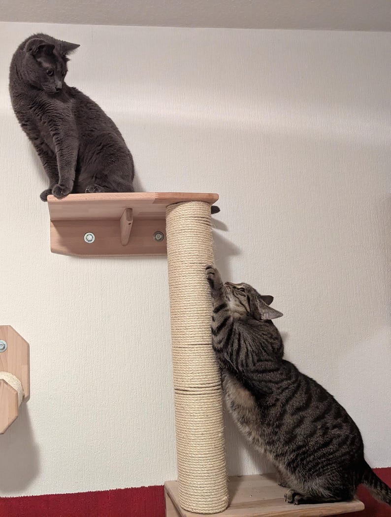 Puede incluir: Dos gatos interactuando en un &aacute;rbol para gatos de madera. Un gato gris est&aacute; sentado en una plataforma, mientras que un gato atigrado ara&ntilde;a un poste de sisal. El &aacute;rbol para gatos est&aacute; montado en una pared blanca.