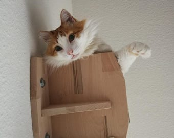 Pasarela de madera