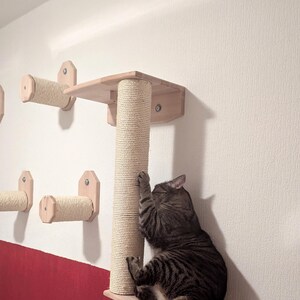 Puede incluir: Un juego de rascador y estanter&iacute;a para gatos. El juego incluye un rascador vertical envuelto en cuerda de sisal natural, una estanter&iacute;a de madera y rascadores horizontales adicionales. Un gato atigrado est&aacute; usando el rascador.