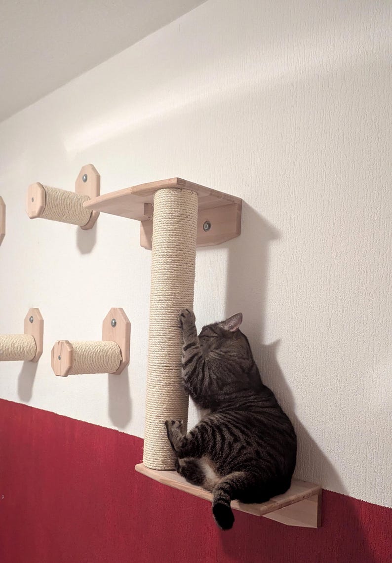 Puede incluir: Un juego de rascador y estanter&iacute;a para gatos. El juego incluye un rascador vertical envuelto en cuerda de sisal natural, una estanter&iacute;a de madera y rascadores horizontales adicionales. Un gato atigrado est&aacute; usando el rascador.