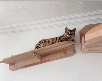 Escaleras para gatos Pasarela