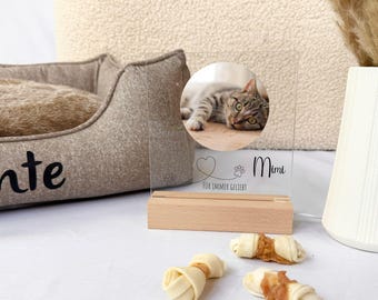 Cat memory light, photo gift keepsake, pet memory light, cat keepsake, comfort light, pet memory, cat night light