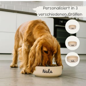 Personalized dog bowl, personalized beige food bowl, dog bowl with name, dog accessories, gift for dogs, dog mom gift