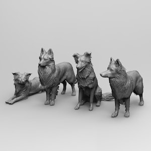 Border Collie STL – Detailed 3D Print Model Dogs (Digital Download)