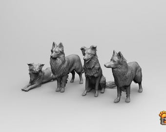 Border Collie STL – Gedetailleerd 3D-printmodel honden (digitale download)