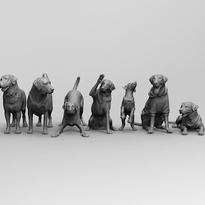 Labrador Retriever STL 3D-afdrukbestanden – collectie 7 poses (digitale download)