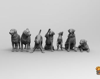 Labrador Retriever STL 3D-afdrukbestanden – collectie 7 poses (digitale download)