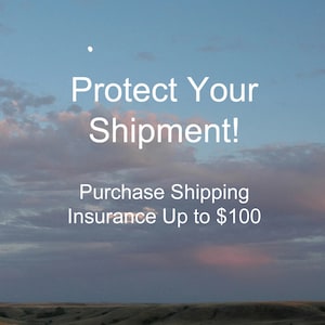 Jusqu’à 100 dollars d’assurance d’expédition, domestique, Protégez votre commande avec une assurance d’expédition