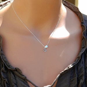 Dainty Little Star Necklace, Horseshoe Necklace, Lucky Necklace, Cowgirl Jewelry, Horse Lovers Jewelry, Silver, Gold, Rose Gold
