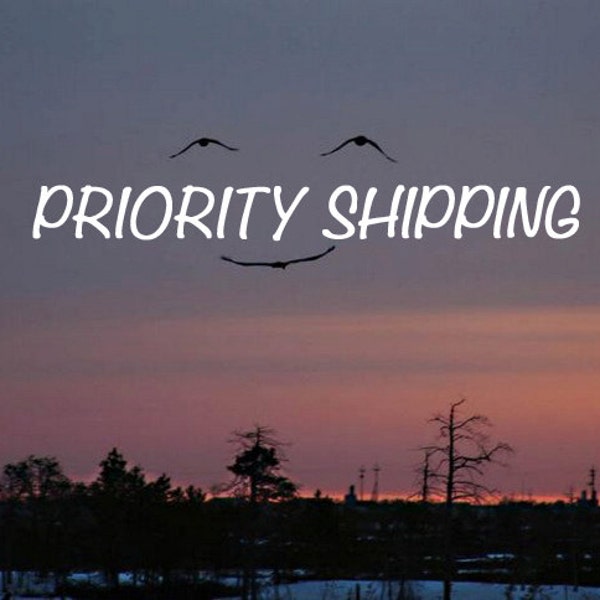 DOMESTIC USPS PRIORITY Shipping, Expedited Shipping, Faster Shipping