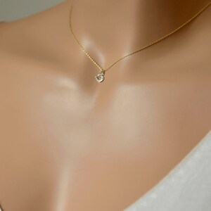 Puede incluir: Un collar de cadena dorada delicada con un peque&ntilde;o dije en forma de herradura de tono plateado. La cadena fina de metal pulido de color dorado descansa sobre la piel, sosteniendo el dije en miniatura con forma de herradura.
