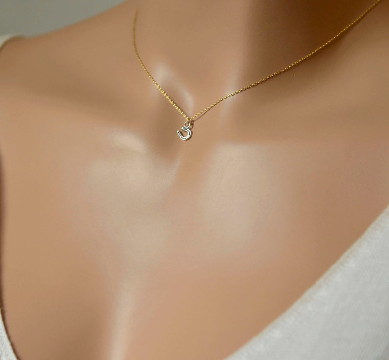 Puede incluir: Un collar de cadena dorada delicada con un peque&ntilde;o dije en forma de herradura de tono plateado. La cadena fina de metal pulido de color dorado descansa sobre la piel, sosteniendo el dije en miniatura con forma de herradura.