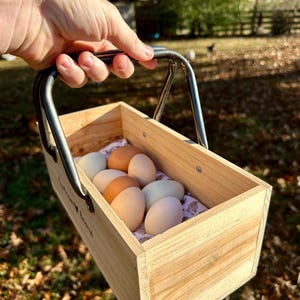 Organic Wooden Egg Basket - Chicken Egg Holder - Chicken Coop Egg Storage - Farmhouse Kitchen Decor