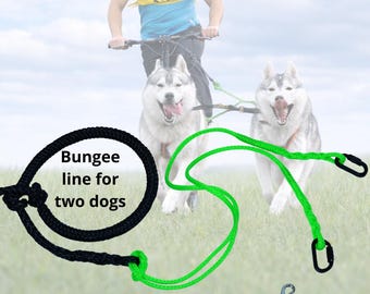 Doppelte Bungee-Leine mit Halsband für Schlittenhunde, geeignet für Bikejöring, Skijöring und Canicross.