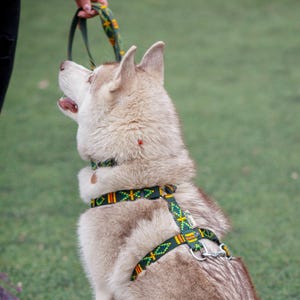 Green Etno Dog Harness: Anatomical Y-Shape Webbing, Comfortable Fit