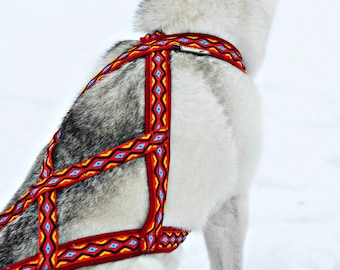 刺繍入りXバックそり犬用ハーネス：カニクロス、スキージョアリング、バイクジョアリング用犬用ランニングハーネス、そり、ドッグトレッキング、そり用ハーネス