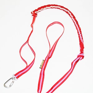 Reflecterende bungee-hondenlijn met handvat, schokabsorberende hondenriem met handvat, riem voor hardlopen en wandelen