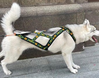 May include: A white and grey husky dog wearing a black dog harness with a repeating geometric pattern in green, yellow, and red. The harness features adjustable straps and a metal ring at the back for a leash attachment, worn by the dog in profile.