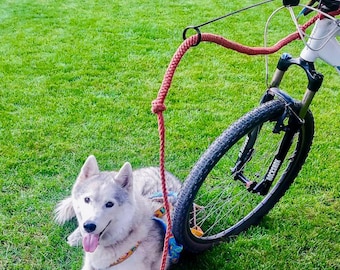 Bike antenna keeps the dogs bungee leash from tangling into the front wheel- Bikejoring, Scootering | Mushing antenna for scooter and bike