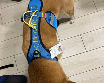 No-Pull Dog Harness: Comfort Fit for Walking, Travel & Sport