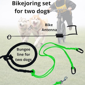 Bikejoring Set for Two Dogs | Bike Antenna & Dual Bungee Leash | Ultra-Light 490kg Carabiners