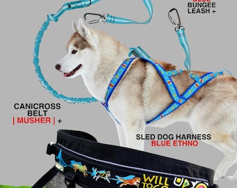 Canicross-Set | X-Rücken-Geschirr, Bungee-Leine & Freihändiger Gurt für Bikejöring/Skijöring-Schlittenhunde