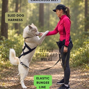 Op de afbeelding: Een ergonomische canicross-gordel, een zwart hondentuig voor sledehonden en een elastische bungee-lijn. De afbeelding bevat de tekst: ERGONOMIC CANICROSS BELT, SLED DOG HARNESS, SET FOR SPORTS AND WALKS en ELASTIC BUNGEE LINE. Uitrusting voor sport en wandelingen.