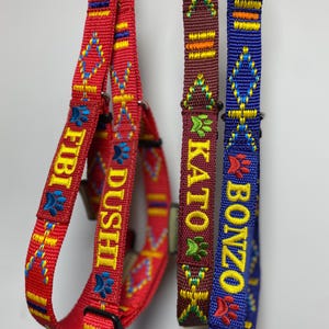 Personalized Dog Collar with Custom Name Embroidery | Add your dogs name, phone number or a custom text | Martingale collar for dogs