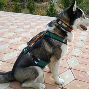 COMFORT No-Pull Dog Harness: Walking, Sport, and Travel - Personalized Embroidery | Perfect for canicross, bikejoring and skijoring
