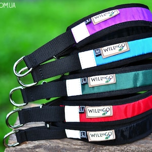 COMFORT Dog Collar – slip-on Martingale dog collar | Waterproof, Adjustable, Reflective Dog Collar | Personalized Custom Option |