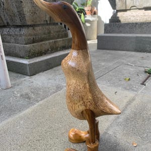 wooden duck 35 cm, duck statue, out door decor, wood carving