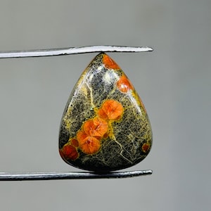 May include: A teardrop-shaped gemstone, featuring a black base with yellow veining and striking orange floral patterns. Held by tweezers, the polished stone displays a unique colour combination. The gemstone's dimensions are approximately 3 cm.