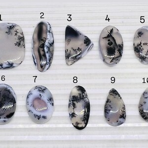 May include: Ten polished dendritic agate gemstones in various shapes, including oval, teardrop, and irregular forms. The stones feature a translucent, milky white base with black and brown dendritic inclusions, creating unique patterns. The gemstones are displayed on a white surface.