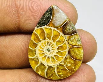 Ammoniet cabochon: natuurlijke fossiele edelsteen voor het maken van sieraden (28 karaat)