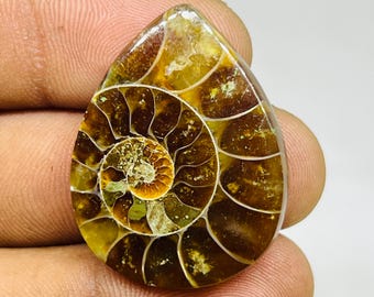Ammoniet cabochon edelsteen: natuurlijke fossiele schelp voor het maken van sieraden (31 x 24 x 5 mm, 37 karaat)