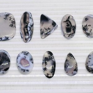 May include: A collection of polished dendritic agate gemstones in various shapes, including oval, teardrop, and triangular. The stones feature a translucent, milky white base with intricate black and gray dendritic patterns.