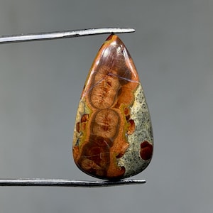 May include: A teardrop-shaped gemstone with brown, orange, and grey patterns. The polished stone is held by silver tweezers, highlighting its unique natural design. The gem's surface has intricate details and colour variations.