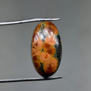 Peanut Obsidian Cabochon – Hand Polished Volcanic Gemstone (26X14X8mm, 24 Carat)